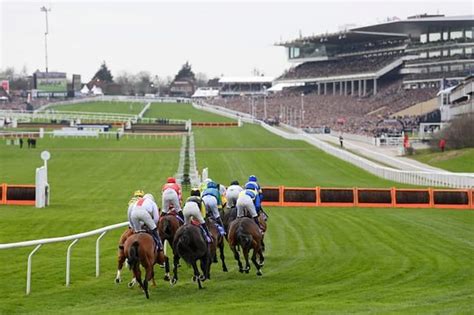 cheltenham festival live results